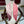 GG Fringe Scarf 90x90 Pink Silk Twill 203973