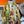 HM 26s Scarf 140 In Cashmere And Silk 217522