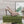 GG Valentino High heels Ivory