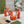 GG Sandales Cuir Noir Orange