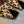 ALAIA FLAT MULE IN LEOPARD LAMBSKIN