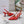CD Tribales Slingback Pump Glossy Red Orange Cowhide