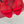 DC 25 Satin Keira T-Bar Heel Red Sheepskins & Cowhide 308575