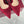 GG 26 Signoria Slingback Pumps 4.5cm Deep Wine Red Suede 632522