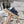 CHLOÉ MILA PLATFORM 5 CM IN NAVY BLUE FABRIC AND BEIGE RAFFIA