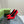 GG 105 HIGH HEEL PUMP CANDY LAMBSKIN