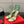 RC Sandals 9.5cm Green Imported Metal Sheepskin 302601