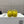 Loewe 25 Pebble Ballet Flats Yellow Calfskin