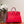 KELLY SELLIER 25 BAG IN CLASSIC RED OSTRICH LEATHER WITH GOLD HARDWARE (MADE - TO - ODER)