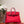 KELLY SELLIER 25 BAG IN CLASSIC RED OSTRICH LEATHER WITH GOLD HARDWARE (MADE - TO - ODER)