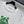 CD SS26 Fitted T-Shirt Green Dior Clover Motif White Cotton 351003
