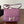 CONSTANCE 18 PURPLE OSTRICH SILVER HARDWARE