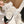 SHORT BOOTS IN WHITE LAMB FUR AND LAMBSKIN 962186