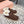 Miu Ankle Boots Chocolate Brown Fleece Lining Cow Suede