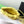 Chanel 25 Hobo Bag 20cm Yellow Canvas 324801
