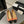 ballet flat coral embroidered fabric black grosgrain