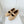CC 25 Ballet Flats Beige Suede 411484