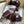 SCARF 180 CM IN CHESTNUT BROWN MIX WHITE CASHMERE 402221