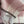 Scarf 180 CM In Light Grey White Mix Light Pink Caro Cashmere