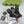 CREW SOCKS 279732 (1 BOX)