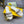 FF Signature 10 White Cotton Fibre Slide