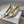 CD Pumps 65mm Glossy Beige Cowhide