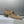 CD 26 Lolita High Heels 40 Beige Mesh Gold 633050