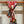 Fantaisie d'Etriers Scarf  140 CM Red Colorful Silk