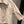 Gucci Short-sleeved Jacket Top Beige Polyester Fiber