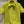 Gucci Jumpsuit Short Avocado Green Polyester Fiber
