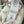 CD Dioramour Short-Sleeved Embroidered Sweater White Wool 349487