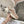 CD Vibe Sneaker Beige Brown Polyester Mesh Fabric And Cowhide