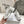 CD Vibe Sneaker White Grey Polyester Mesh Fabric And Cowhide