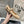 Alaila Biker Ballet Flats In Beige Cowhide 911448