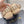 Alaila Biker Ballet Flats In Beige Cowhide 911448