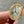 Baignoire Gold Case Red Leather Strap