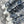 CD 25 Coconut Single-breasted Skirt White mix Blue Cotton