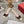 Belle Viv Metal Buckle Slingback Pumps 45 White Patent Leather