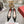 Viv Canard Pumps 55 Black Patent Leather