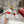 Viv 25 Square Buckle Platform White Red Cowhide 262979