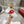 Viv 25 Square Buckle Platform White Red Cowhide 262979