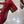 CD 26 Heel Mary Jane 40 Dark Red Patent Leather 592223