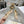 CD Very Ballet Flat Beige Lace 679840