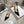 CD 26 Slingback 80 Black Beige Patent Leather 679853