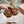 Miu 26s Gymnasium Ballerinas Brown Leather 679785