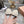 Miu Crochet Ballerinas Cream Black Wool Leather 901742