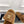 CC 25s Logo Slippers 50mm Brown Wool GHW 435263