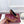 GG 26s Signora Pump 10cm Brown Leather 640303