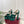 GG Janaya Platform Sandals 15.5cm Teal Green Suede 891840