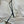 MAX MARA 25S MID-LONG DOWN JACKET 208
